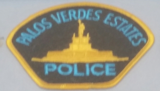 PVE Police Patch