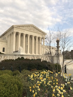 U.S. supreme Court 12
