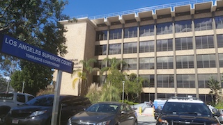 domestic_viol_summ_30_-_torrance_courthouse.jpg