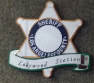 domestic_viol_summ_68_-_lakewood_sheriff_badge_.jpg